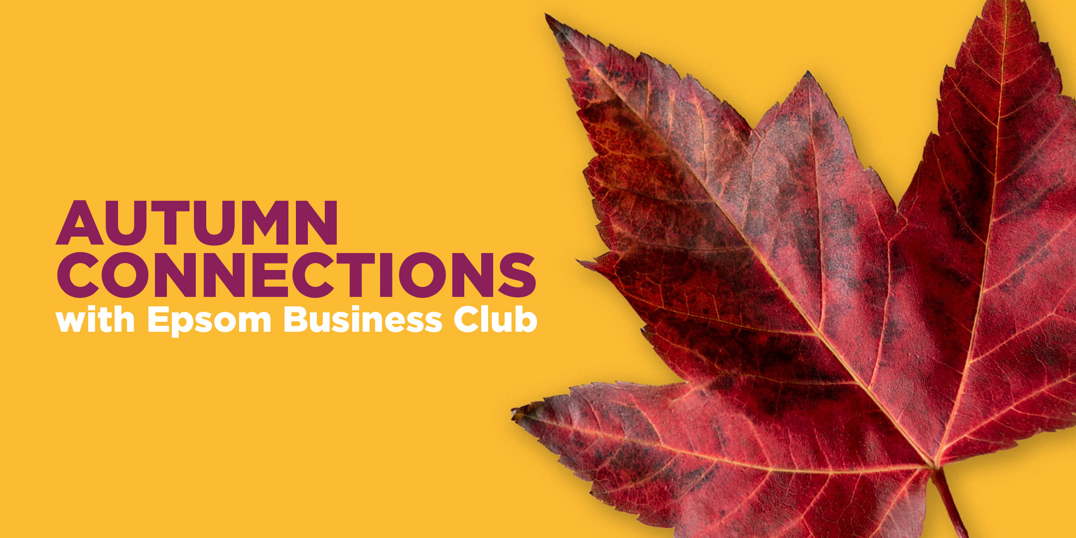 Autumn leaves falling - Epsom Business Club networking breakfast November 2026